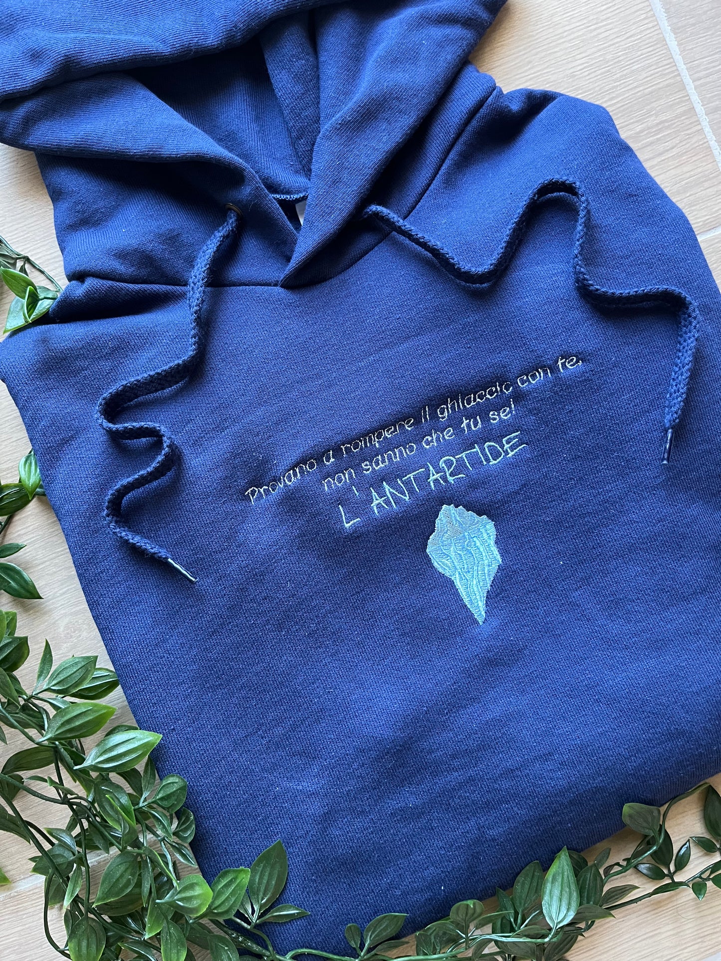 Antartide - Felpa/T-shirt