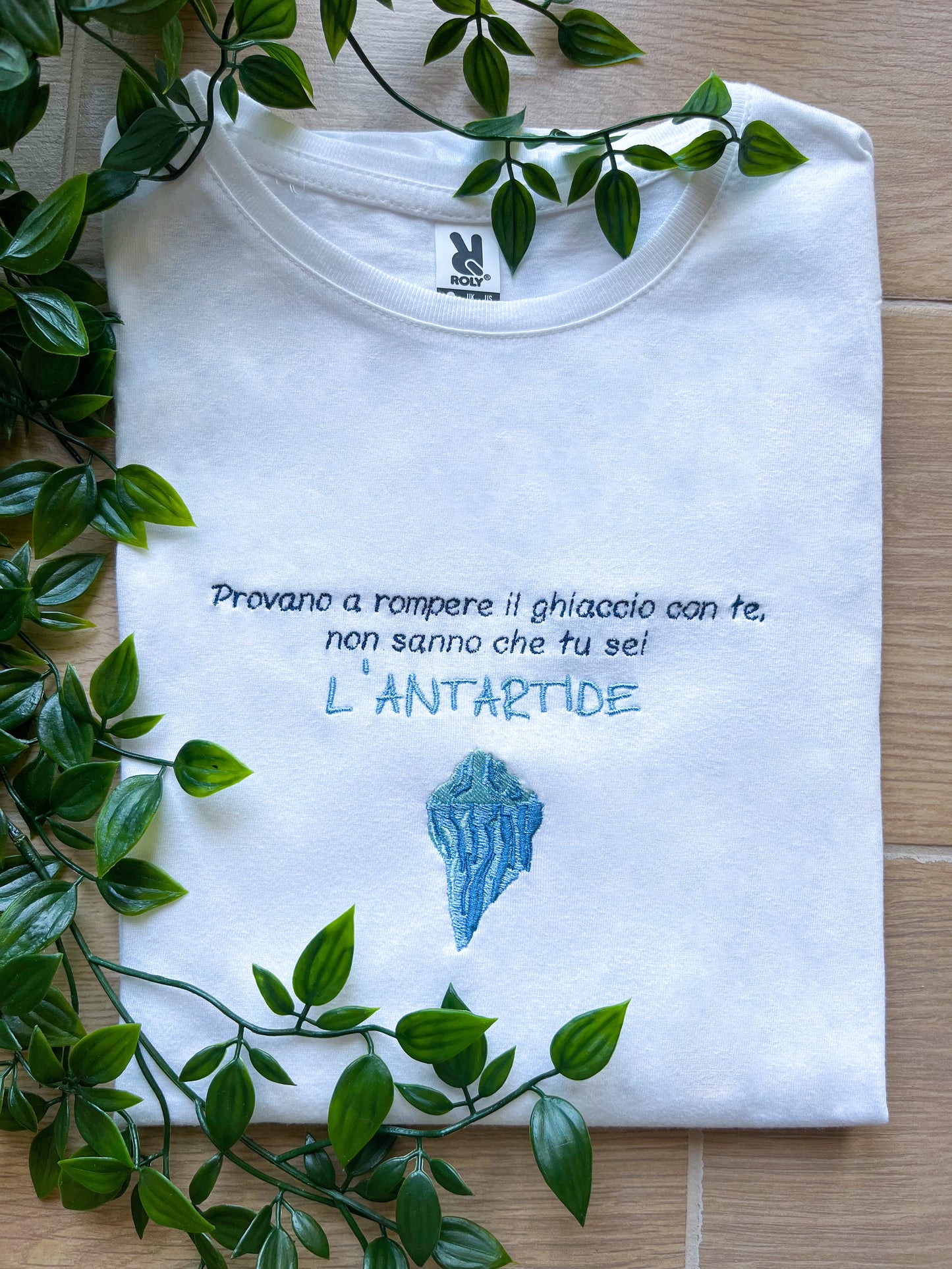 Antartide - Felpa/T-shirt