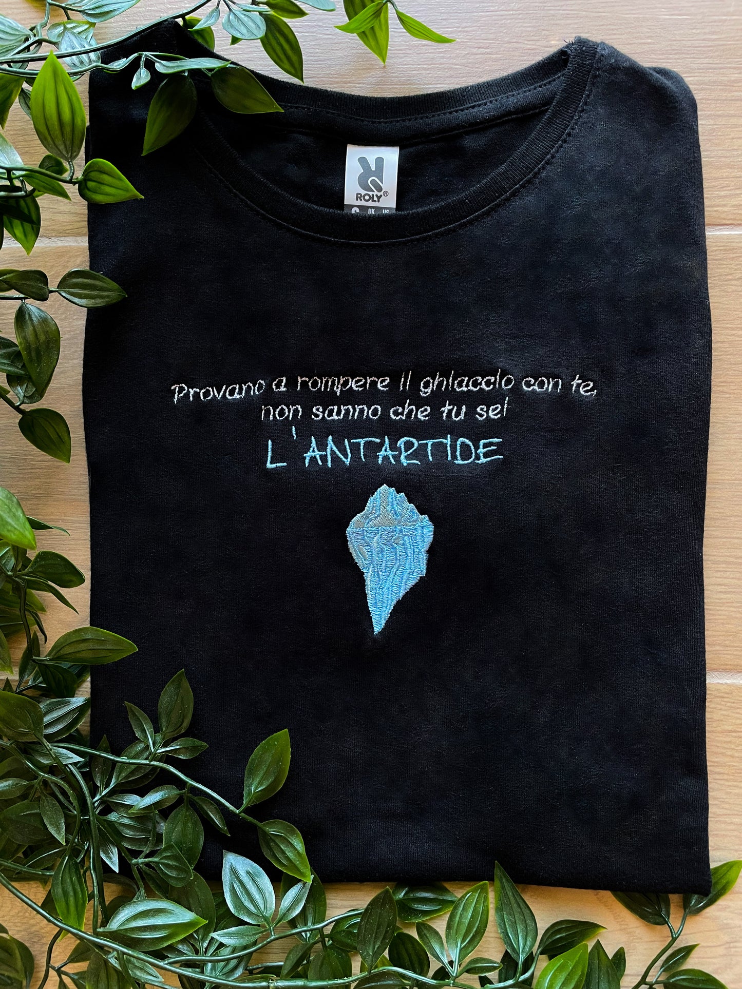 Antartide - Felpa/T-shirt