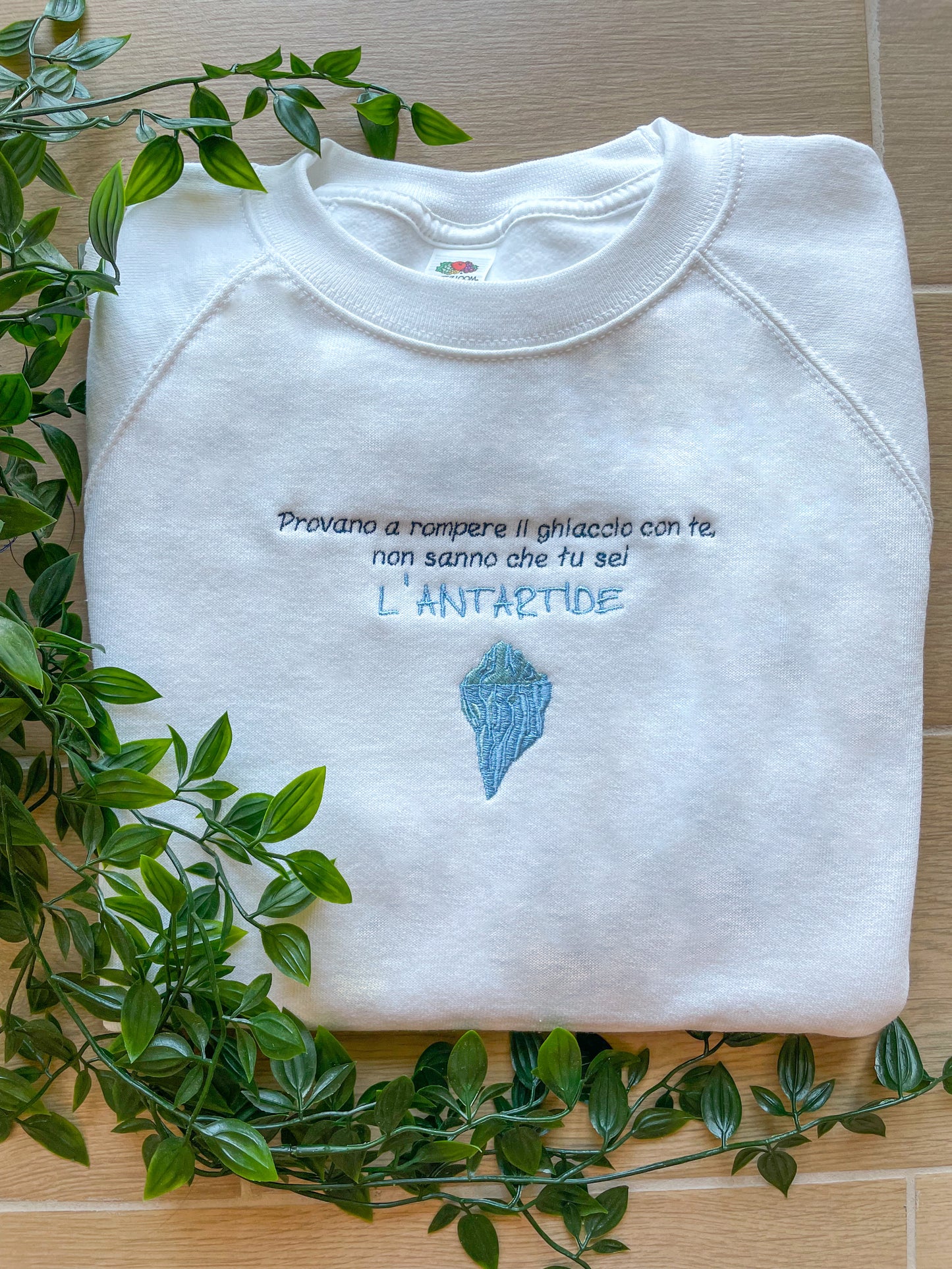 Antartide - Felpa/T-shirt