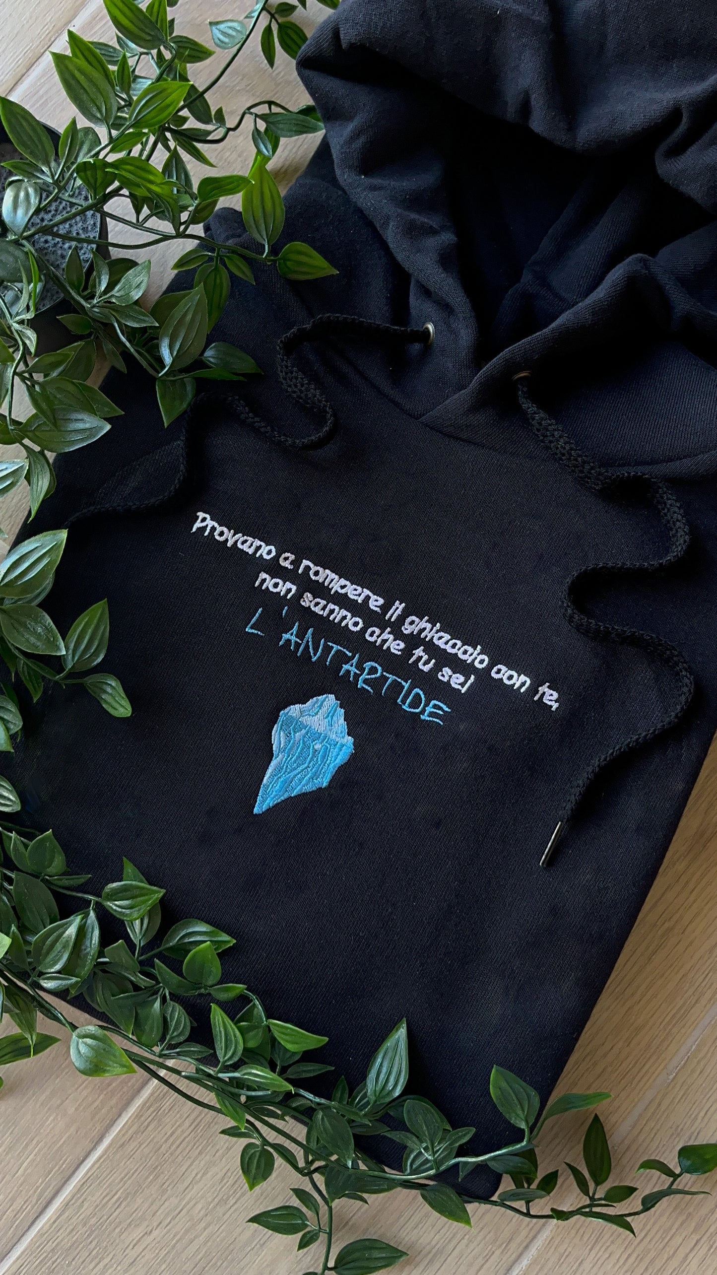 Antartide - Felpa/T-shirt